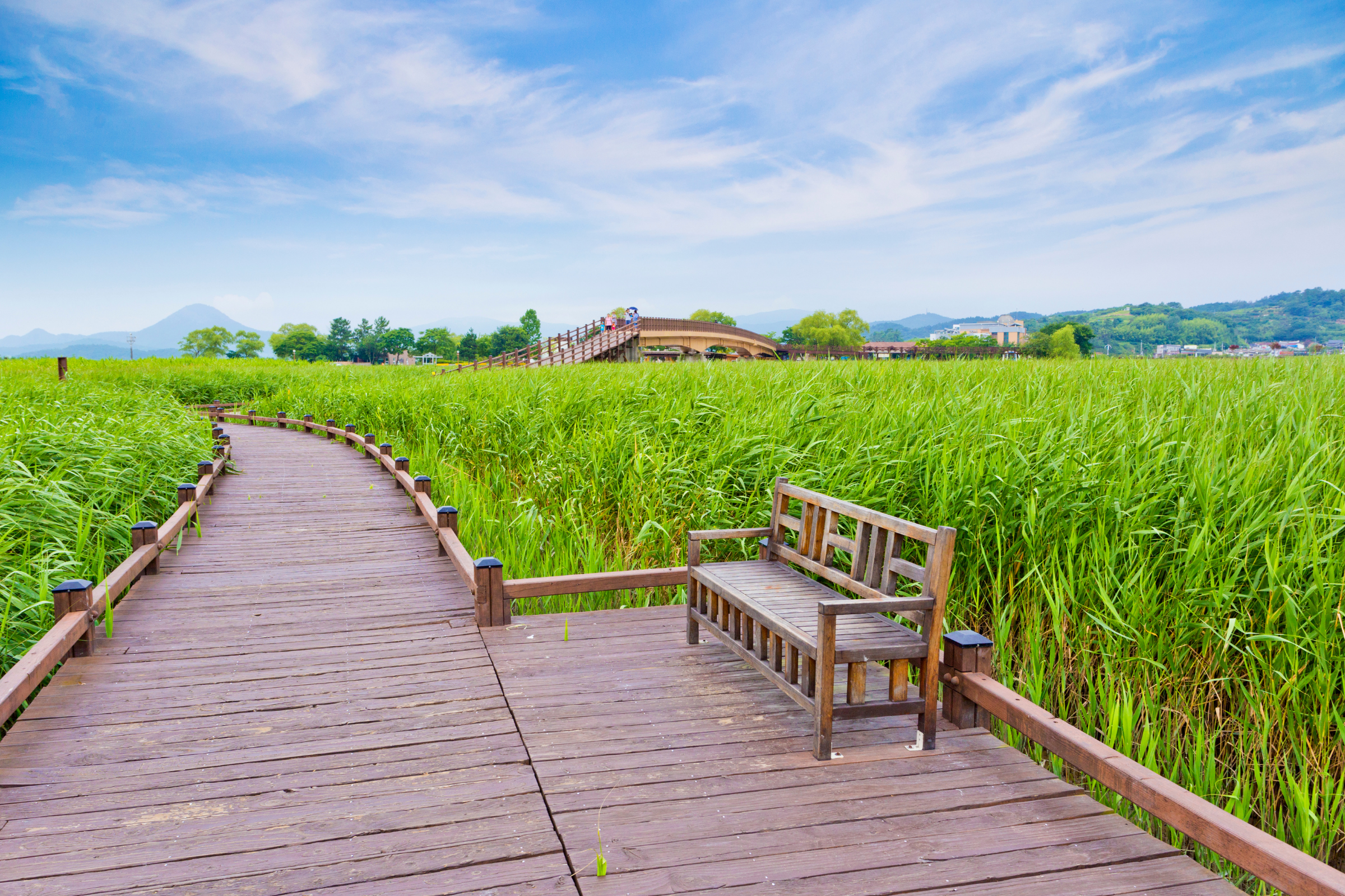 suncheon-si (4).webp